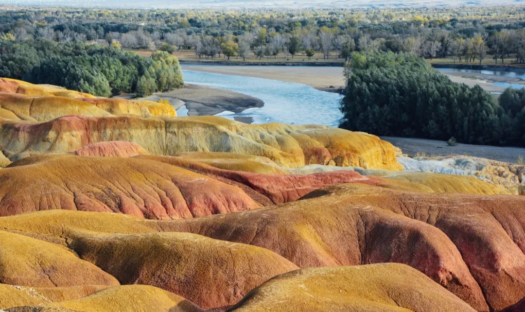 7ba336d52a9522d46c800f1f90a2d8cd-sz_686652