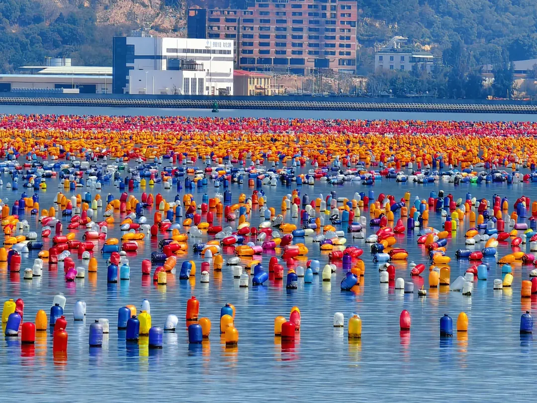 7ba65c660a67279d11f57136a3e6a2dc-sz_3487655