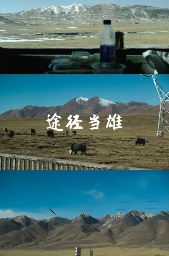 7bb3c36ddbe16080738e4a3ddbba2c21-sz_884032