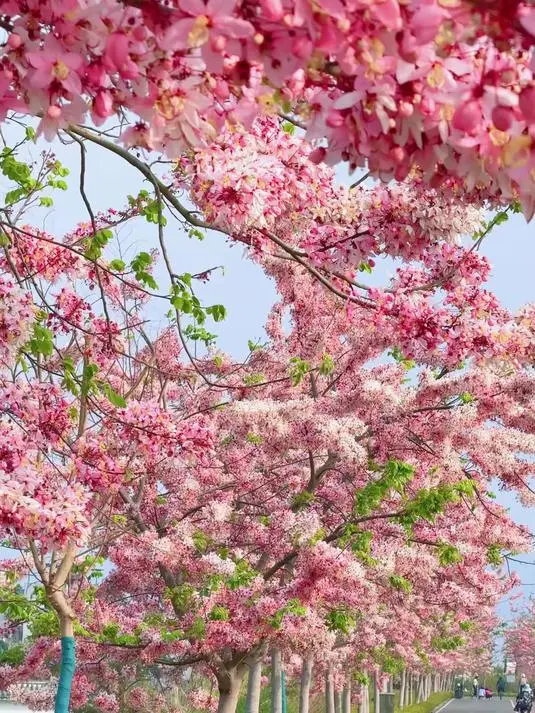 7bd8eadd6c6e593ccf4bbf3d8e982c8b-sz_127228