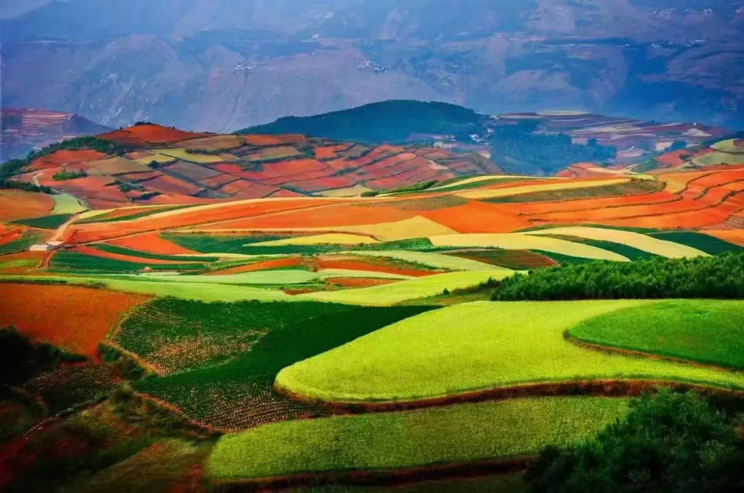 7c18819f3f5bcaeccfb82d3ce25bdd8c-sz_1263299