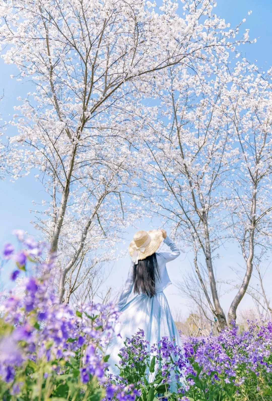 7ca3ff0245a3ca7f21a40b169ca1f2b0-sz_1576749