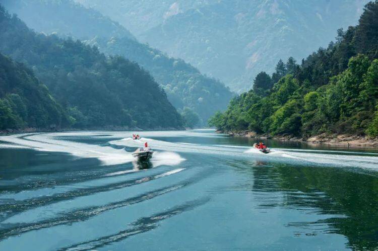 7cb86f3b491b4b8a3778d5dce791b51f-sz_113438