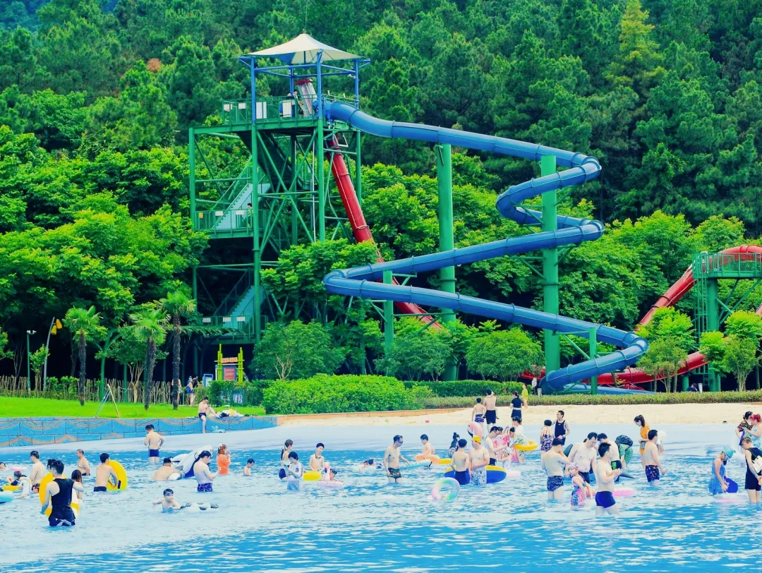 7cc62c42ad8a04a82ed4774eefb0b3e6-sz_1172946