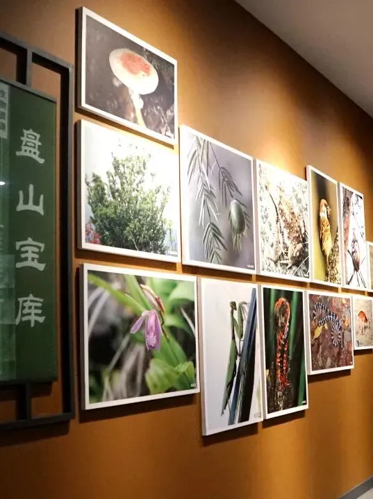 7ce60afae2bede6812b4150ce497c2db-sz_65271