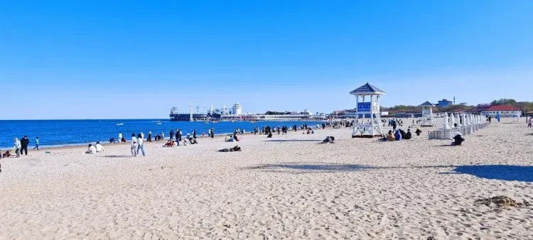 7d9e30822a005229a25bd3a57a42965a-sz_690671