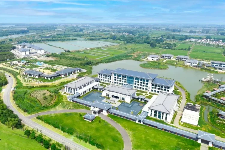 7dcb84a439b707c2f4859d169e0d378a-sz_1879736