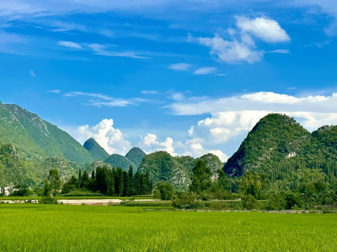 7e717c6b1a4c92151ef210e4c7e3148c-sz_248366