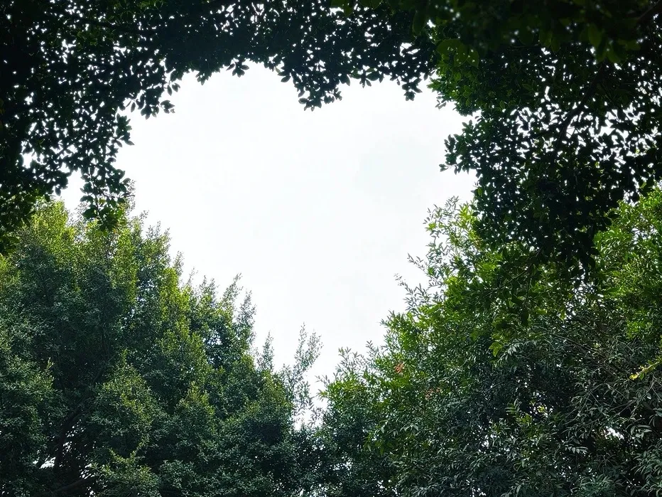 7eb4431faaaf5652c56b4247d30ecb15-sz_851919