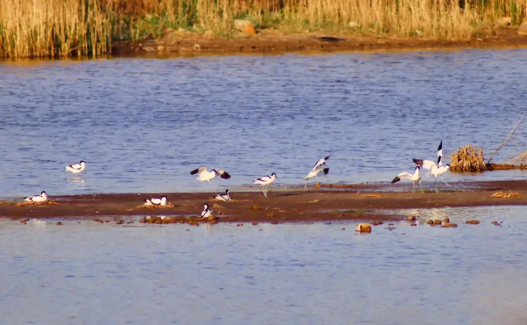 7eba385828d67813939fdcf5883c7855-sz_131255