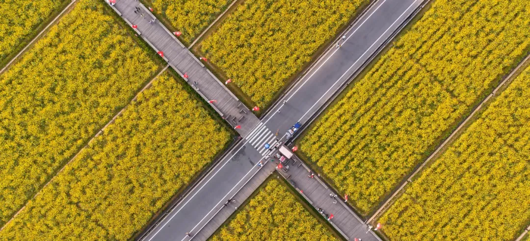 7ee8179ed36ae2f853d2bd5d166f2d9e-sz_3674854-2