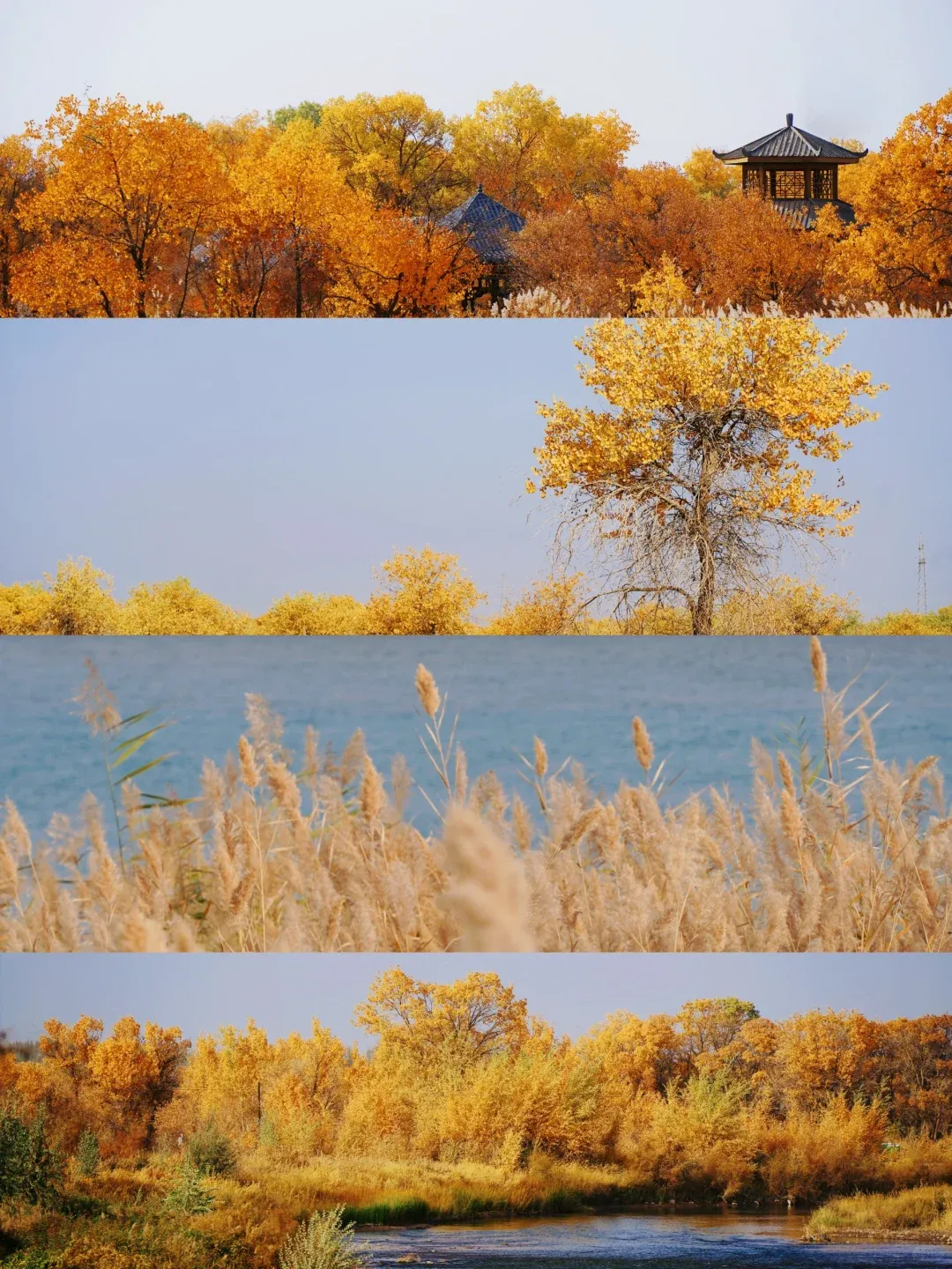 7f339b56a0d947d32ad82229f2850640-sz_2346439