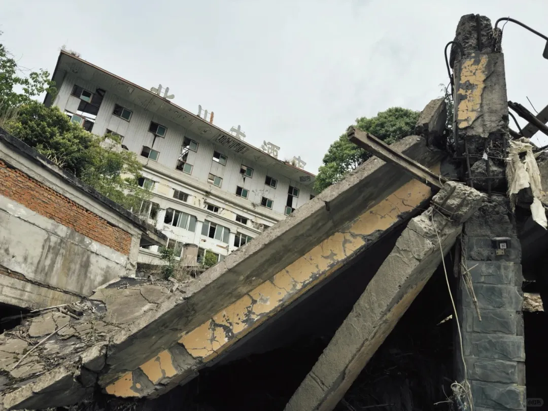 7f35ce5a0825b7c055174f1f80693951-sz_406029