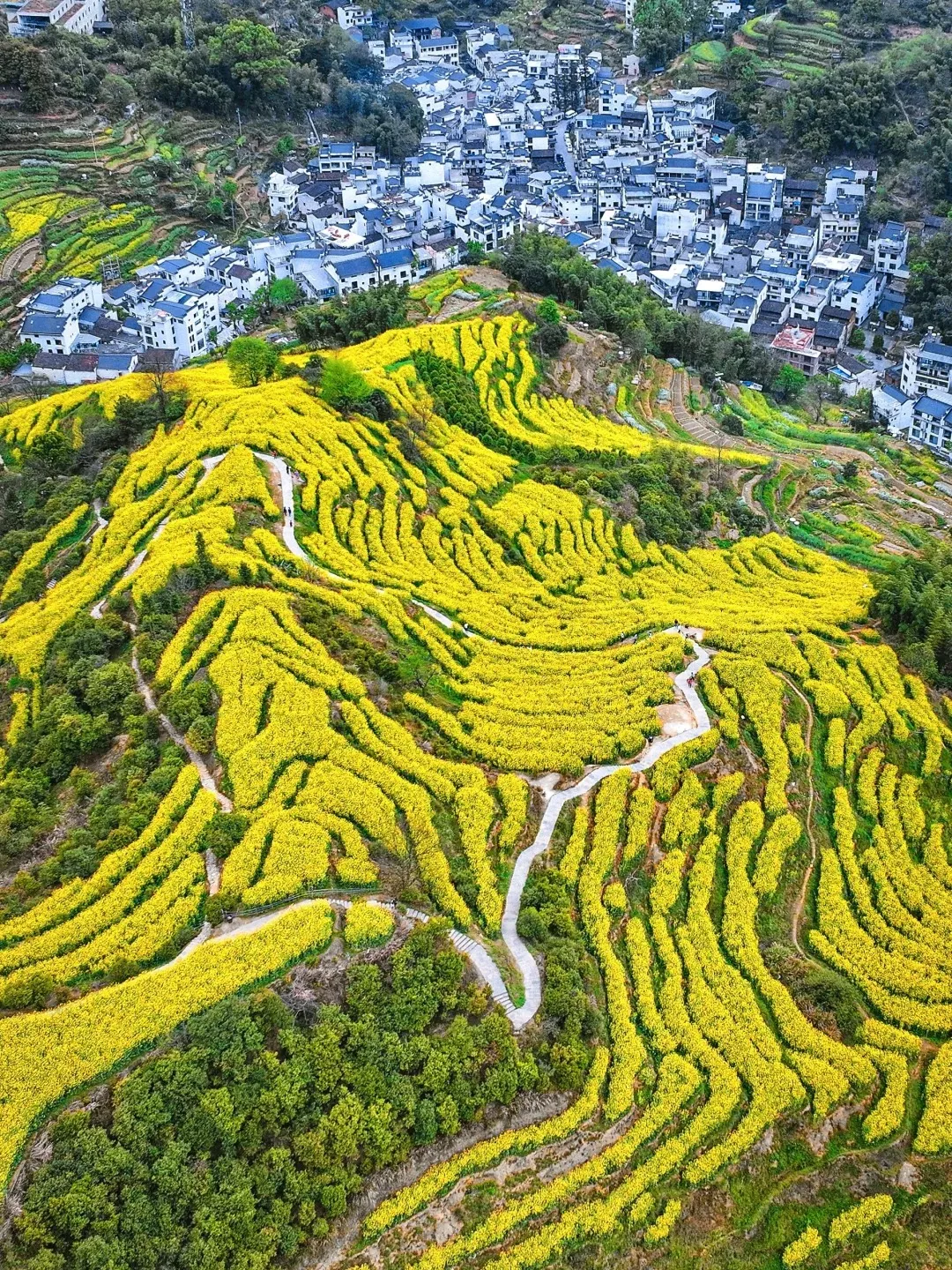 7fd2441fe9ee049581212e7d25beac28-sz_977988