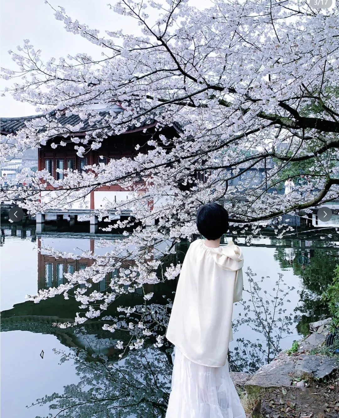 7fed3ba4cc6935bbc370c3315416f861-sz_1730586-1