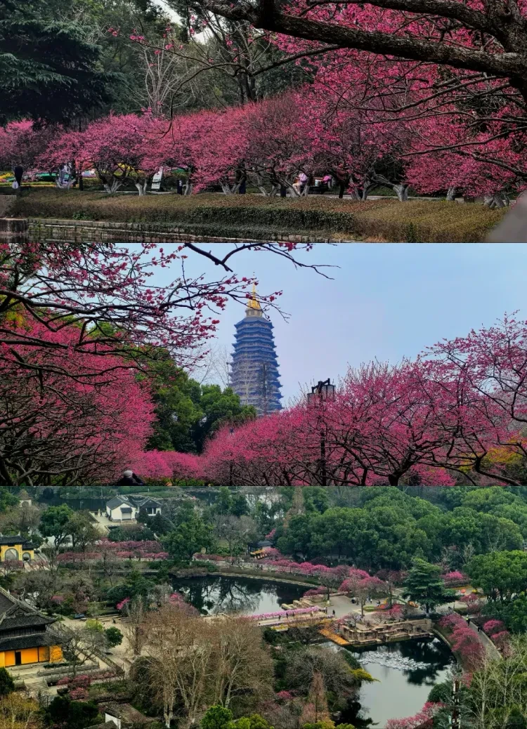 8053a0f6dc23bb1bdca6eae03e520e85-sz_4005821