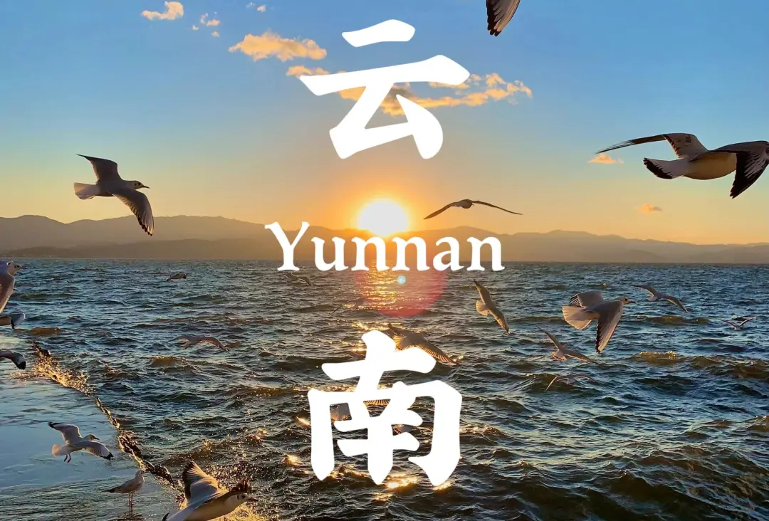 80b441965bf5529148f7f5de3266f86e-sz_709417