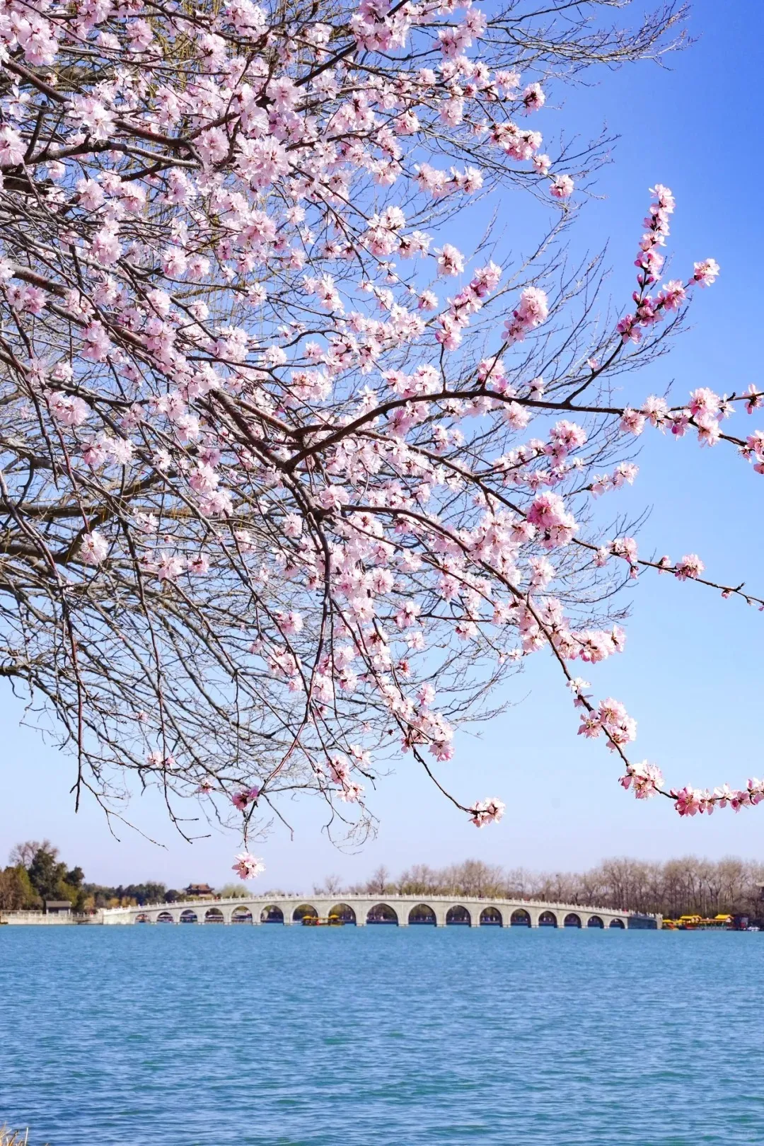 80c919ca732cedcb71652ce2d41cf427-sz_720253-2