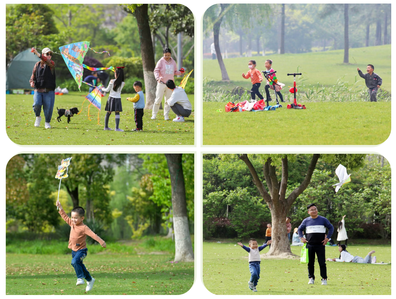 80e6962801d8aa7bda4689db66e5b528 80e6962801d8aa7bda4689db66e5b528