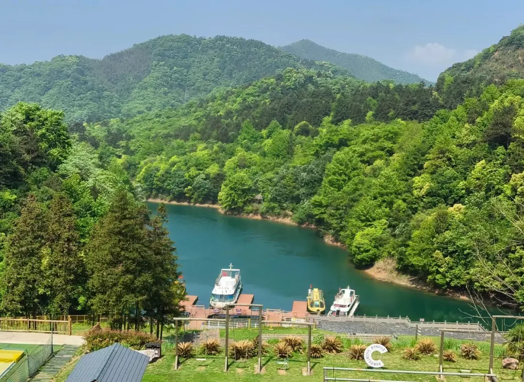 80fd56957023cc70edacb1faf2be3a66-sz_364017