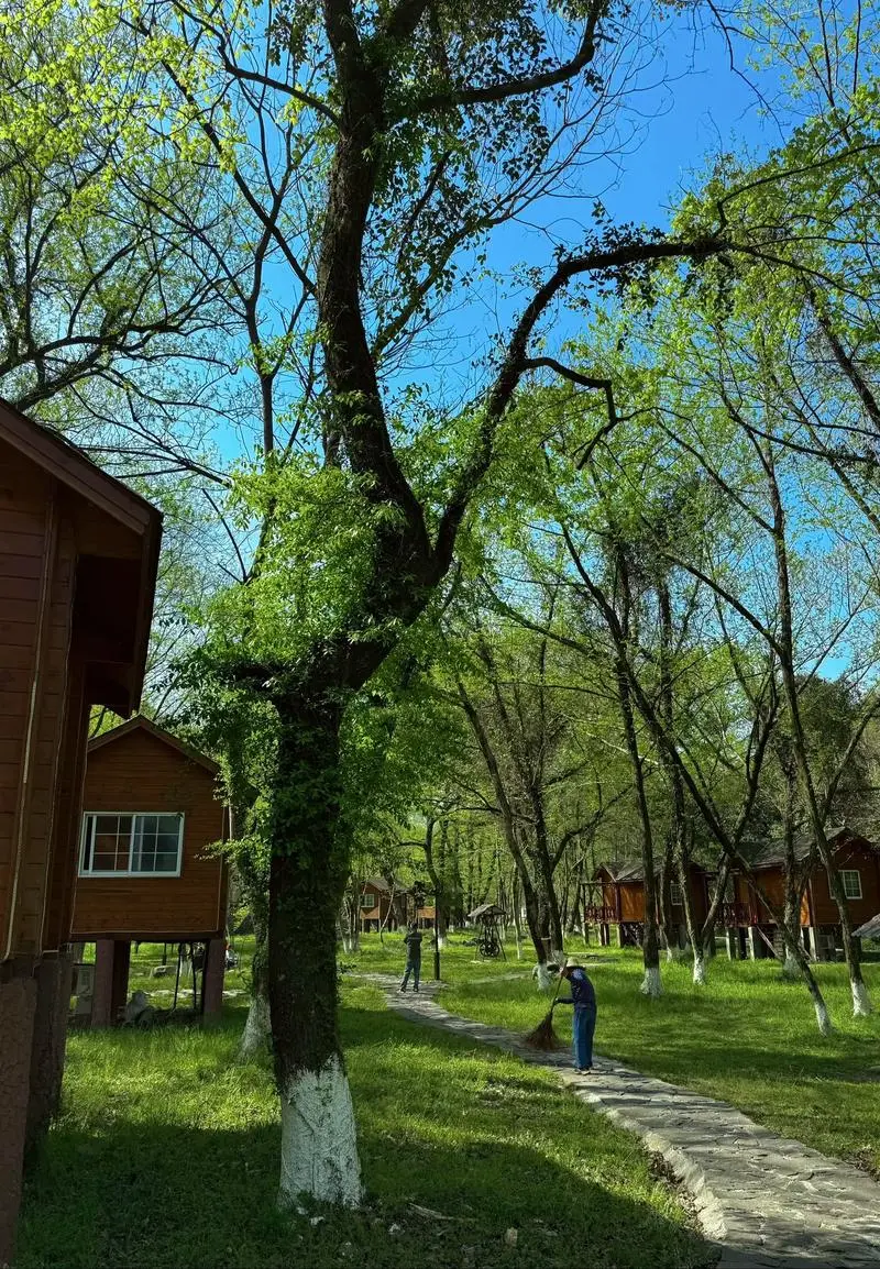 8118aaf6bc26d8c5daa52d50121b2e11-sz_308203