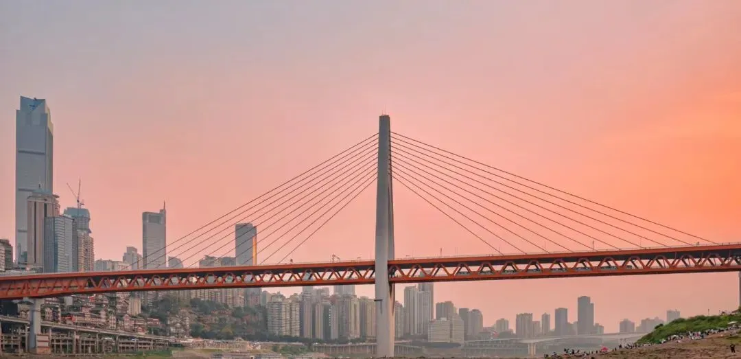 81730e8a619433e6f17ab7eec91bd509-sz_66245