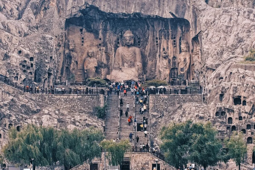 81829dfbfe761d4876ea33b787c9cde9-sz_527215-3