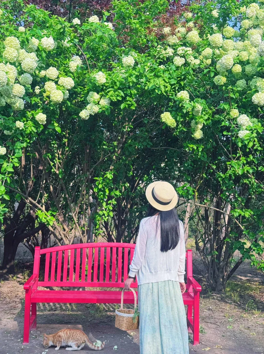 8207c5b3426c51f2fb63475d4bfc5dea-sz_3324120 8207c5b3426c51f2fb63475d4bfc5dea-sz_3324120