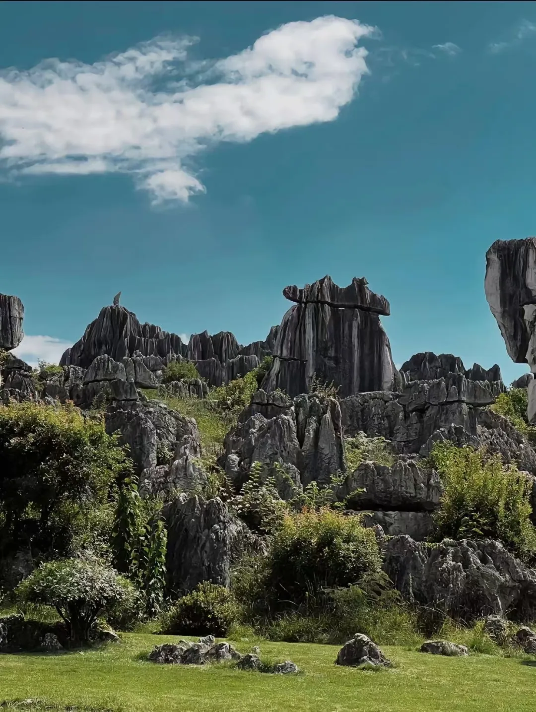 8257a9c16ad42b0d1401d3f2b4cede77-sz_666659