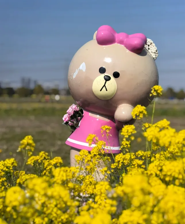 82a1925f39ca19941246aab104228da5-sz_909629