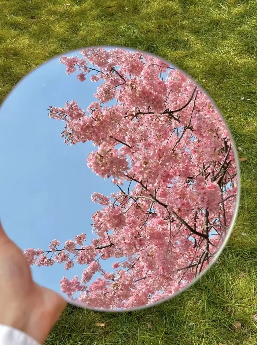 82aab4e5ab13521aedb3df6d8a762d91-sz_390970