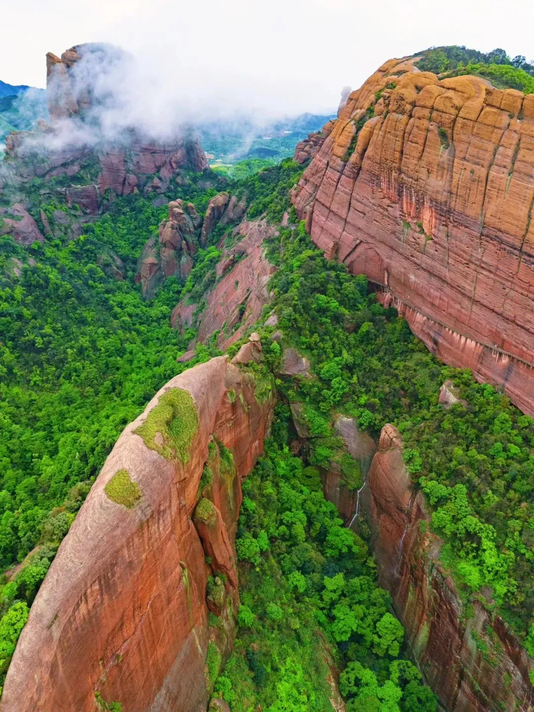 82eb4a6b9a868ea4a5d057880b2cdc8f-sz_358024-4