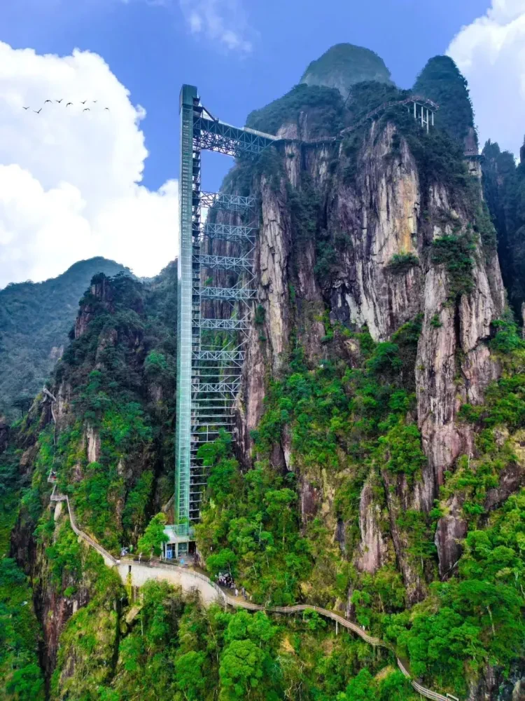 83eb3524cfee81a6f514f73639f772f3-sz_349273