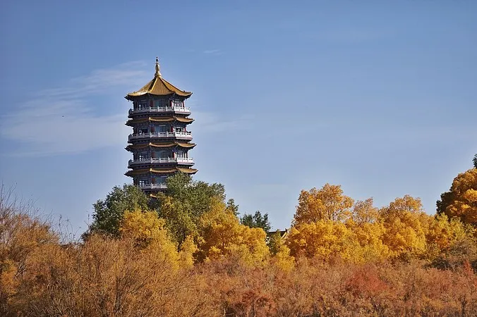 84606d99e5f8dc90439ff7f21ed387bd-sz_112129