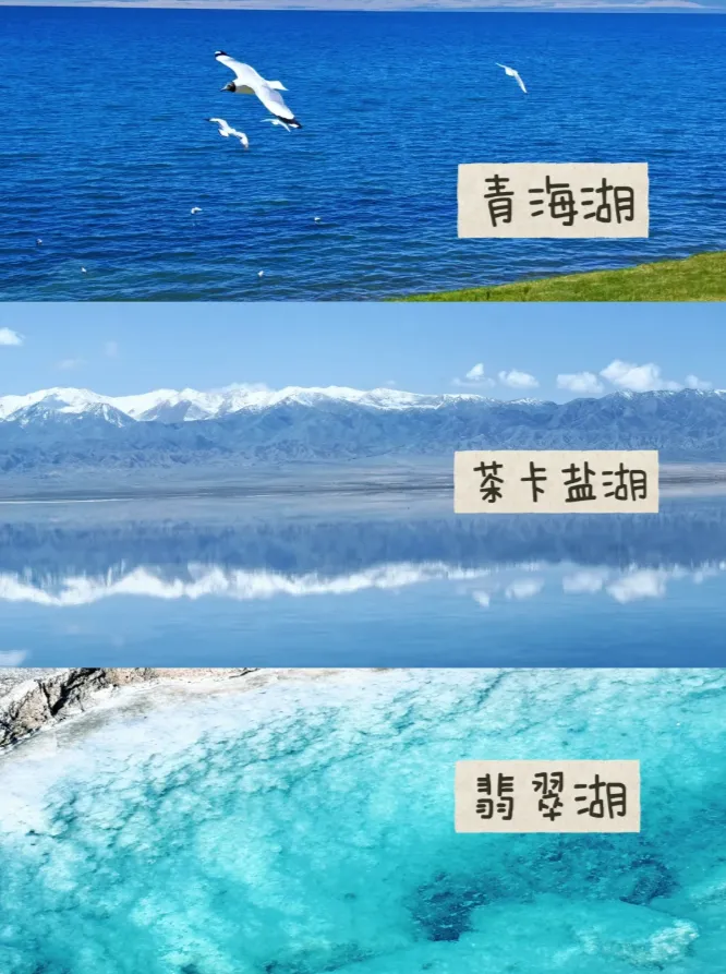 【尊享甘青】0购物！0套路！2+1航空座椅车，6晚4钻酒店，大牌景点一网打尽莫高窟/嘉峪关关城/茶卡/青海湖‼正餐餐标50元/餐！双卧10天/双飞8天