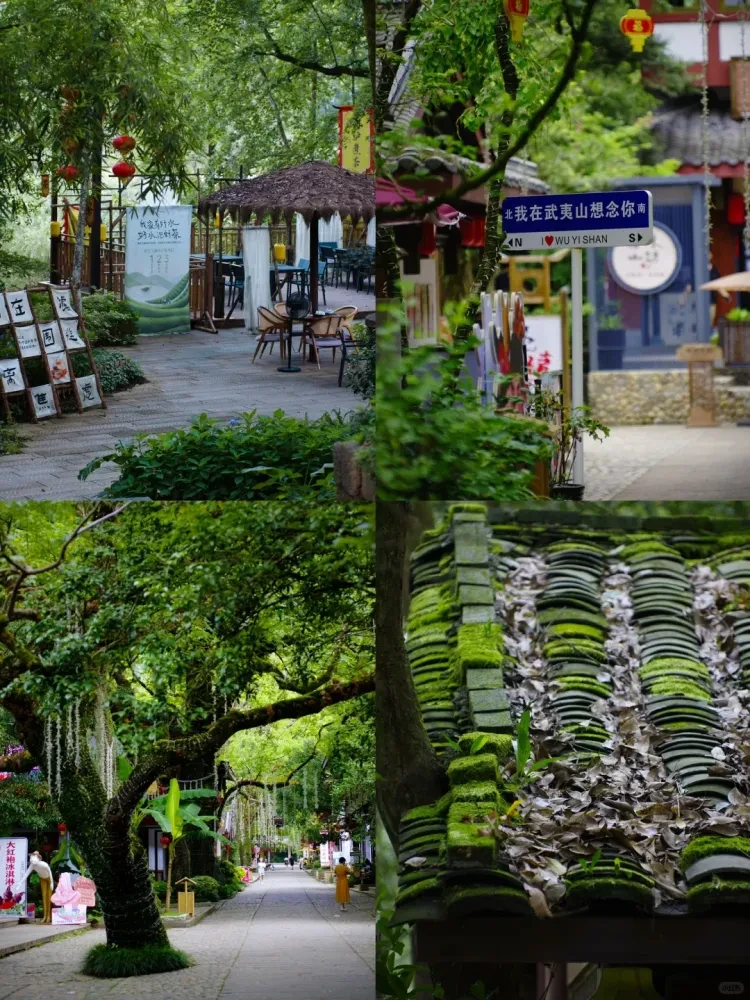 849aaa1b09444f0b72d20aebfb4283e5-sz_3812367