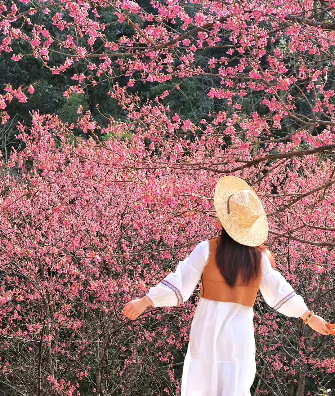 84e6decc8fae58b7e4ca4c132f957382-sz_598521-2