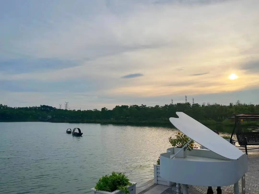 857e608c8d6ea9f826ca689af2d23064-sz_148598-1