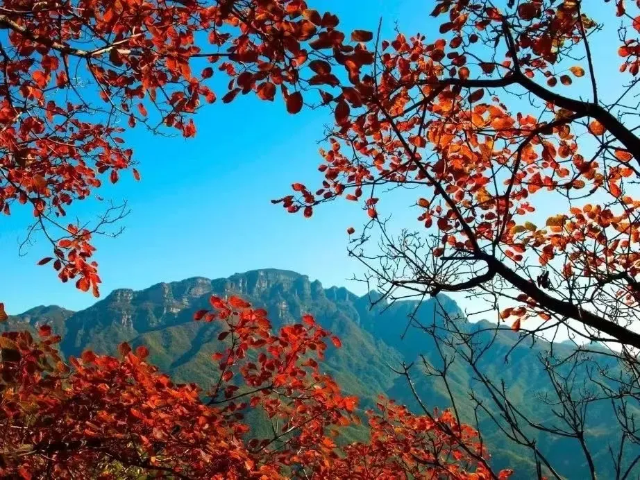 85cc7b3c0c0b462a914e387660ec18be-sz_300467-3