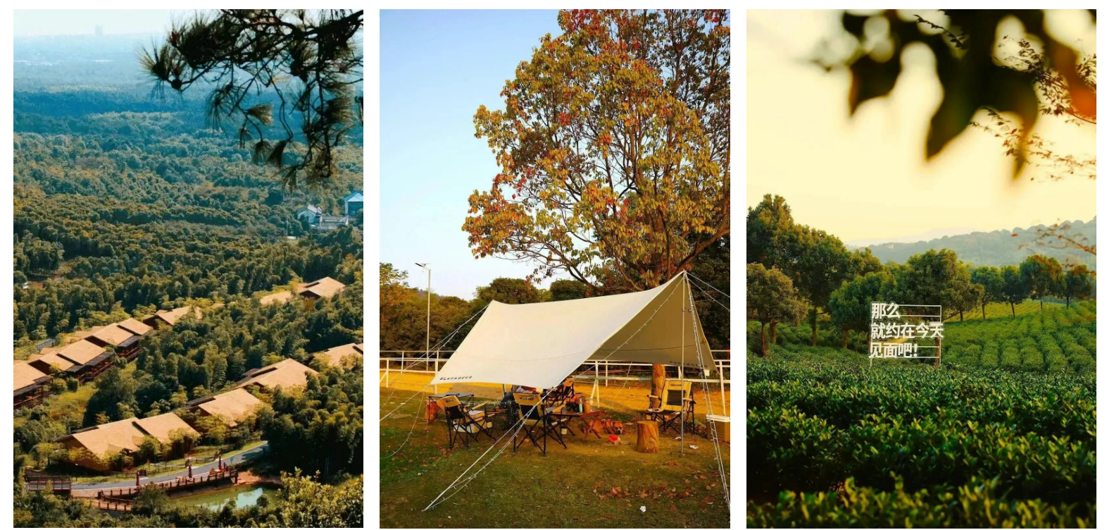 8607d6e6dee5b9edcb7799b18036a068