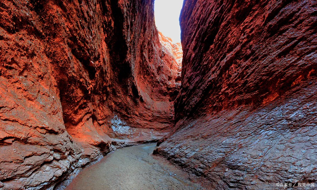 8634e73e1e04bcf2f90da647a20af152-sz_1557100