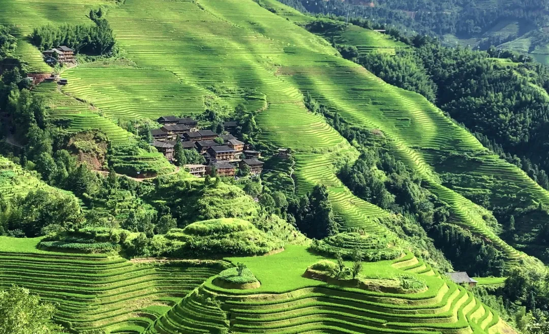 867a8d8719744f2508539c604367eedc-sz_905444 867a8d8719744f2508539c604367eedc-sz_905444