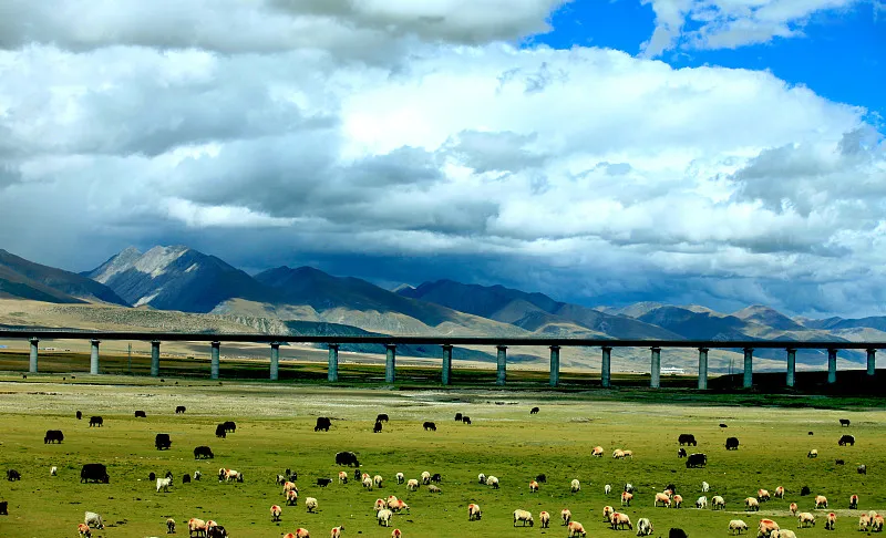 867e6c13b121fb20cd57fdf462924d87-sz_186537