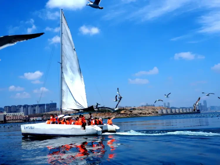 86874bef8b2e1b1fd7c1e78c845b1460-sz_1242252