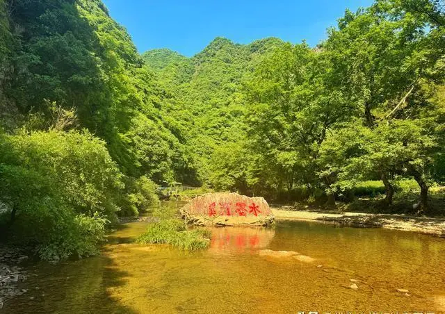 874f00c873b82a59e18653dda2c38a4e-sz_82073