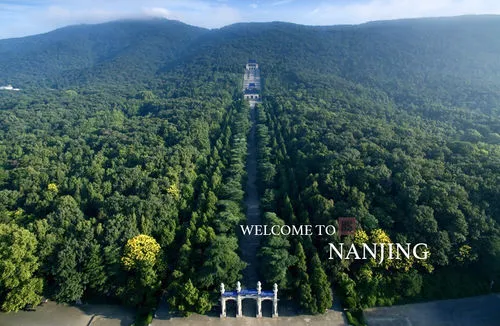 884f59694b2a933a0e6a82de50ceba82-sz_368724-1