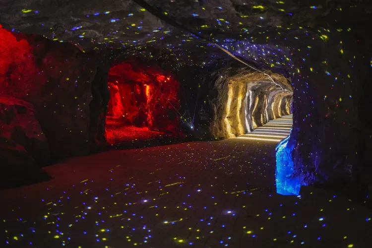 88affcfe09bb8e0ab8f3b7fd7916847b-sz_9245243