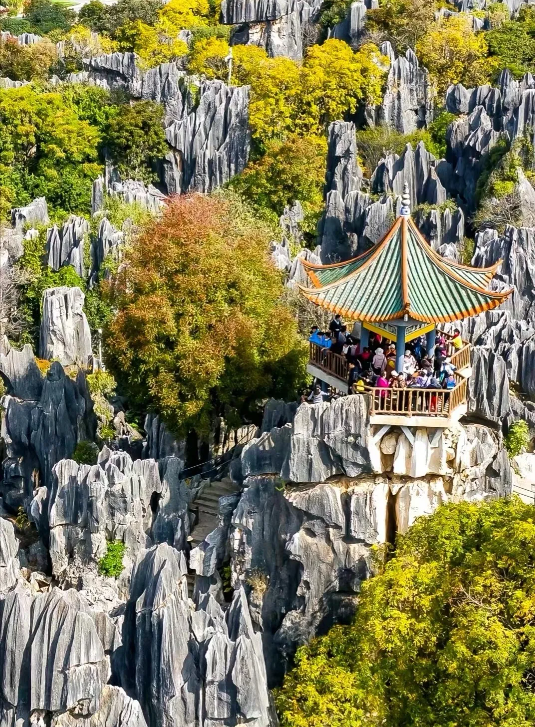 88f040e6fc988257880fe615df625ce9-sz_809784