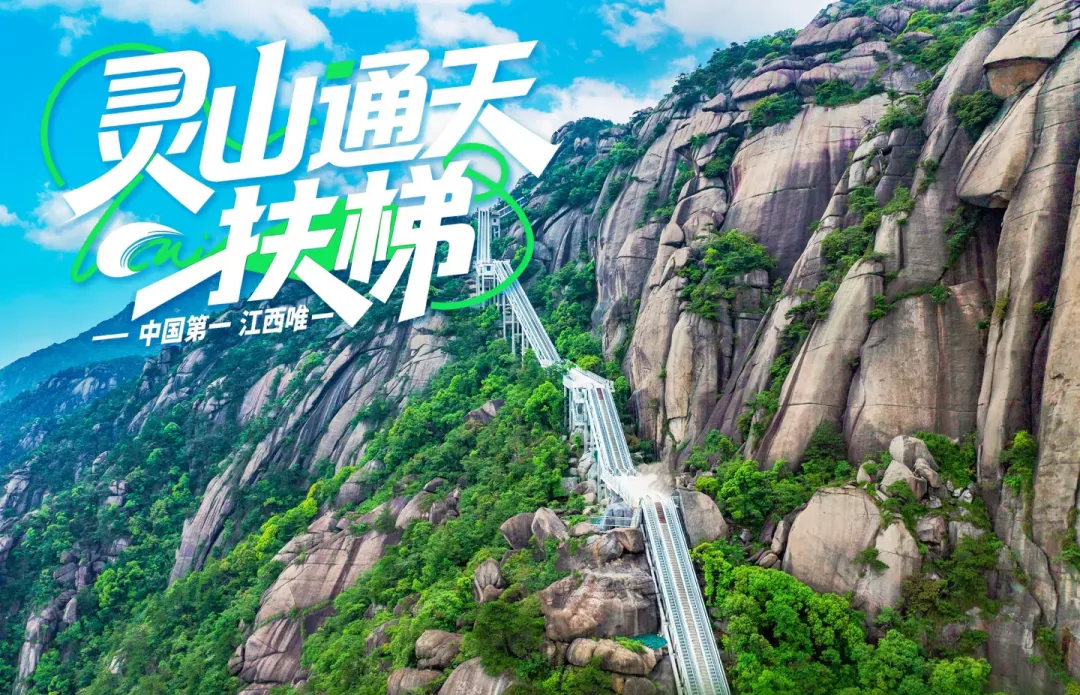 8901d32095390152ec0680d3cf09907a-sz_1425679-5