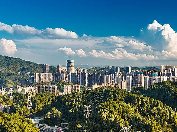 8910b8710f20c09f5b655f45131db06d-sz_218008-1